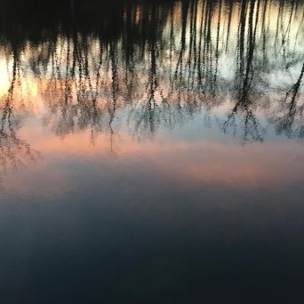 Sunrise reflection 2.29.16